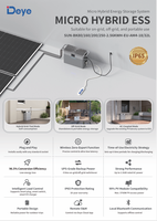 Deye SUN-BK(80-250) AM4 Balcony Micro Hybrid ESS 2.56kWh Batterie basse tension EU