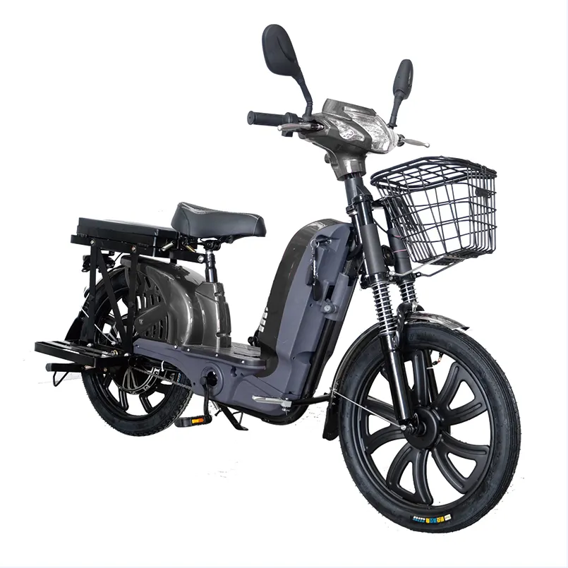 Electric Bicycle with 48V Rear Hub Motor Single Speed Steel Frame Bluetooth Digital System Power Supply Lead-Acid Battery