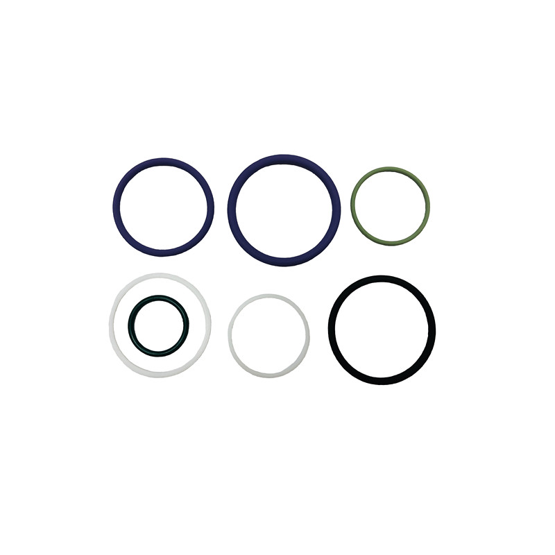 diesel pump gasket kit 402483 PM sealing element fuel injection kit 402 483 VE diesel pump repair kit 40 2483 for PUMP 4PM196