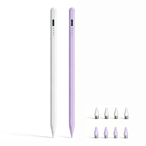 Custom Logo Active Capacitive Touch Screen Type-C Fast Charging Stylus Pen for Apple Ipad Magnetic Stylus Pencil