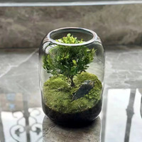 Terrarium en verre Art Déco en gros avec culture hydroponique, design transparent pour la décoration intérieure de la maison et du bureau, aquariums