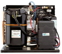 Unités de condensation de réfrigération 1/2HP- 2HP R404a 110V 60Hz pour la machine froide de refroidisseur de bière