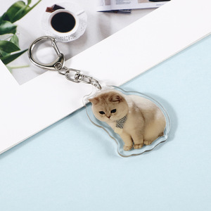 Chất lượng cao Keychain tùy chỉnh dễ thương động vật Acrylic Standee ánh sáng lên Keychain Acrylic LED Keychain huy hiệu cho quà tặng và túi xách - Product Image 4