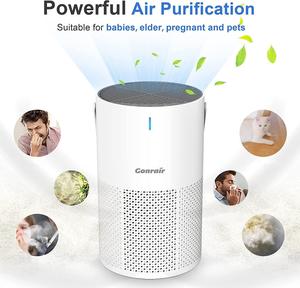 2022 Neues Produkt direkt verkauft werden USA und Kanada Portable Desktop <span class=keywords><strong>Air</strong></span> <span class=keywords><strong>Purifier</strong></span> Home Office Indoor