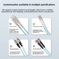 Câble de raccordement en fibre optique OM3 de qualité télécom LC-LC 10 Trillion Multimode Double Core SC-FC/ST, ligne d'extension carrée/circulaire 3m