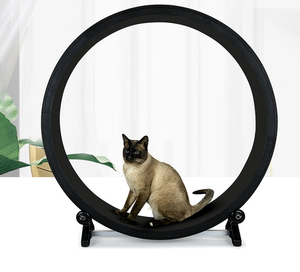 Kingtale roda lari Treadmill kucing, latihan kualitas tinggi mudah dirakit ukuran besar kucing dalam ruangan berkelanjutan untuk mobil - Product Image 6