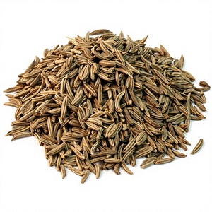 Certified ISO GMP Caraway <b>Essential</b> <b>Oil</b> 1 KG Pure Carum Carvi <b>Oil</b> - With Cosmetics Aromatherapy & Therapeutic Grade - From India - Product Image 1