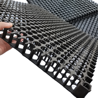 Tapis de drainage en plastique noir pour l'aménagement paysager municipal, les jardins sur toiture, les pelouses, les filtres à eau pour plantes et le gazon artificiel