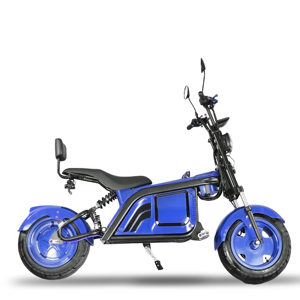 Scooter électrique pour personnes âgées, voiture à quatre roues, grand scooter de mobilité, scooter électrique de mobilité partagé avec 12,5 - Product Image 5
