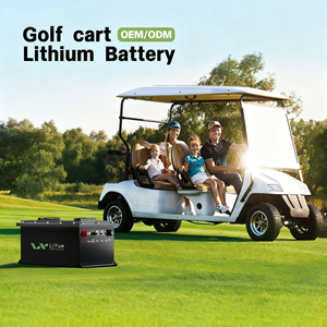 Baterías de Carrito de Golf LiFePO4 Personalizadas de Fábrica, Voltaje Personalizable 100Ah/150Ah/200Ah, Paquetes de Baterías de Iones de Litio Semi-Sólidas - Product Image 2