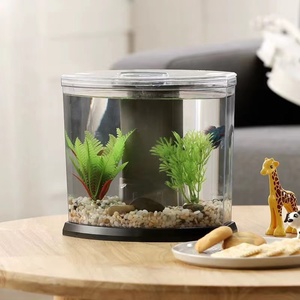 Mini <span class=keywords><strong>aquarium</strong></span> BOYU pour poissons combattants, réservoir de poissons de bureau alimenté par USB, petit <span class=keywords><strong>aquarium</strong></span> rond en acrylique avec système de circulation de filtre, série DY - Product Image 4