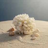 Spécimen de corail blanc naturel, pierre de quartz brute en forme de flamme, marque YunYang, pour l'art et la décoration de fêtes