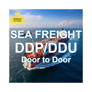 Sea Freight Shipping Agent Forwarder LCL China to <strong>Belgium</strong> Door to Door <strong>Logistics</strong> <strong>Services</strong> with 20-35 Days Transit &amp; Insurance - Product Image 1