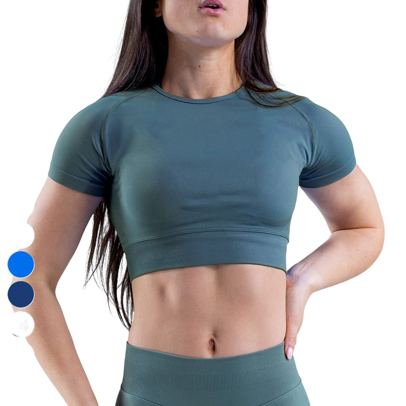 Wholesale High Elastic Sports Shirts Custom Logo Workout Tops Short Sleeve Gym Crop Top Seamless Fitness Yoga T Shirt for Women