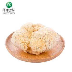 Estratto di fungo criniera di leoni istantanei organici criniera di leone e caffè fungo in polvere cibo Hericium Erinaceus sacro 7 estratto di funghi - Product Image 4