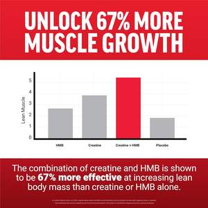 Unflavored <strong>Creatine</strong> <strong>HMB</strong> Powder <strong>Creatine</strong> Monohydrate Powder Herbal <strong>Supplement</strong> for Muscle Growth, Strength, Energy &amp; Recovery - Product Image 3