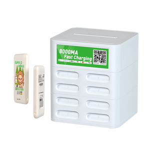 Estación de Carga Compartida Multiestándar Tipo-C de Carga Rápida Welink de 30 W, Enchufe Fácil de Alquilar, Uso en Japón, Material de PVC con Certificación Un38.3 - Product Image 5