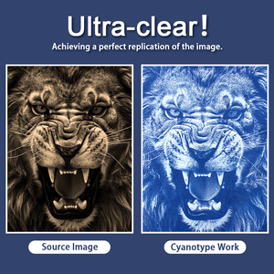 Kit de <span class=keywords><strong>Film</strong></span> de Papier d'Impression Soleil Couleur A6 avec Tutoriel et Outils 5 Pcs Cyanotype Paper Owl Head <span class=keywords><strong>Film</strong></span> 1 Sheets - Beginner DIY Art - Product Image 5