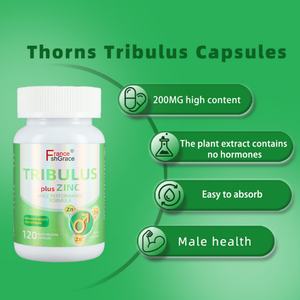 Complément Premium Tribulus 120 Capsules pour Hommes – Soutien Énergétique – Capsules de Tribulus - Product Image 6