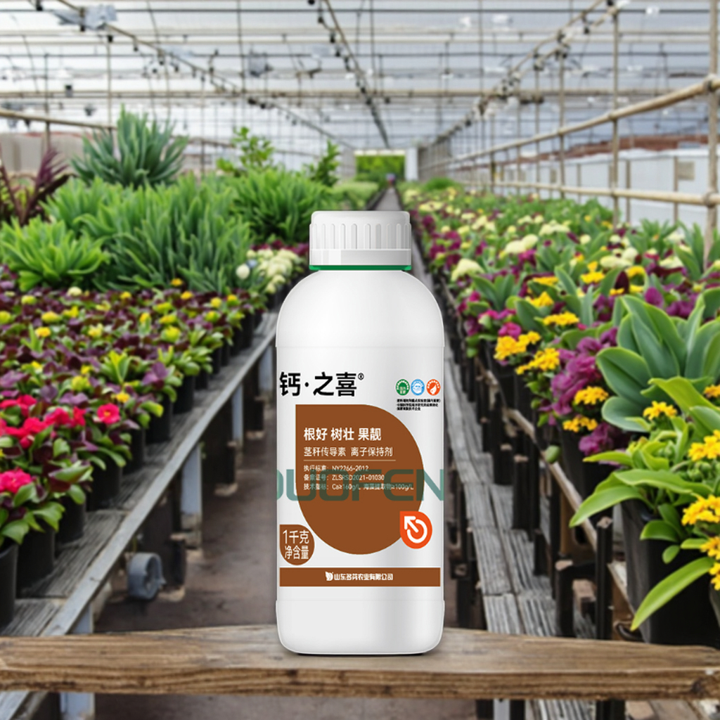 Wholesale Organic Liquid Calcium Fertilizer for Hydroponic Lettuce