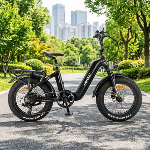 Fafrees F20 Master Electric Mountain Bike-Colors Satin Black/Aurora Blue/Aurora Green/Gunmetal <b>Grey</b>/Aurora <b>Grey</b>-EU Product - Product Image 2