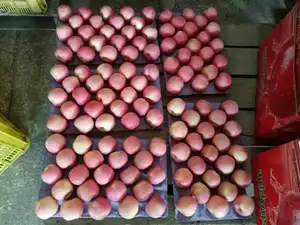 2022พืชใหม่ของ Sinofarm ยี่ห้อสดสีแดงฟูจิแอปเปิ้ลผลไม้ดาวแดงแอปเปิ้ลและแอปเปิ้ลสีแดงอร่อยราคาสดสำหรับขายส่ง