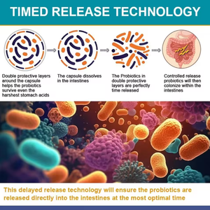 <strong>Probiotic</strong> Complex Beauty Softgel Capsules Multi-Strain Adult Energy Management <strong>Supplement</strong> - Product Image 6