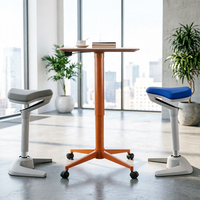 Chaise ergonomique réglable en hauteur pour le travail assis-debout, idéale pour la maison, le bureau, l'école, l'hôpital, les conférences et les espaces publics