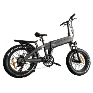 20 Zoll 1000 W Lithium-Akku dicke Reifen Erwachsener Elektrofahrrad Klappbare hintere Nabe Motor E-Bike E-Bike Elektrofahrrad Aluminiumlegierung