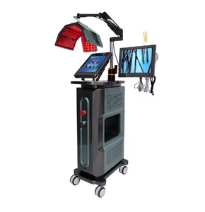 Standing Waterproof Hair Regrowth & Loss Treatment <b>Machine</b> with <b>Microcurrent</b> High Frequency Technology 1000W AU Plug CE Approved - Product Image 5