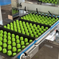Ligne de production automatique de biscuits et biscuits remplis de farine pour petits cupcakes et muffins pour la cuisson du chocolat