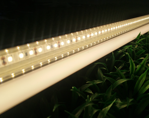 Tira de Luz LED de Alto Brillo, 24V, Blanco Cálido, Ra90 CRI, Clasificación IP65, 50000 Horas de Duración, Regulable, para Interiores/Exteriores - Product Image 3