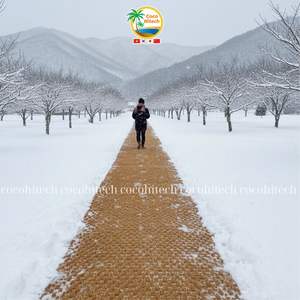 เสื่อใยมะพร้าวธรรมชาติสำหรับทางเดิน - Product Image 2