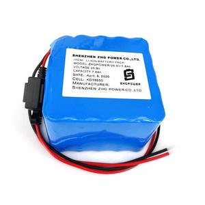 Rechargeable Li-Ion 25.9V <span class=keywords><strong>7</strong></span>.8Ah batterie au Phosphate De <span class=keywords><strong>Fer</strong></span> Au Lithium - Product Image 2