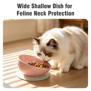 Gamelle en céramique pour chat – Sécurité et hygiène, anti-acné, facile à nettoyer (sans dropshipping) - Product Image 3