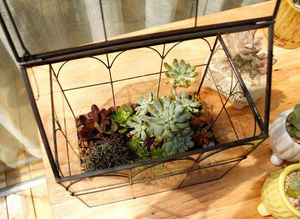 Terrarium en verre fait main en forme de château pour plantes succulentes, serre suspendue, design géométrique, vase en cristal - Product Image 6