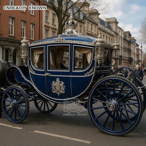 Remolque Eléctrico Royal en Venta con Capota Alta Personalizada, Aire Acondicionado y Luces LED, Estilo Carruaje - Product Image 6