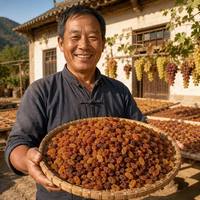 Raisins rouges séchés, fruits secs, naturellement sucrés, couleur riche, collation premium, ingrédient pour la pâtisserie et la cuisine, durée de conservation de 12 mois, sans ingrédients ajoutés