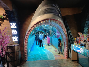 โครงการตู้ปลาใต้น้ำอุโมงค์ใต้น้ำพลาสติกขนาดใหญ่ที่เป็นมิตรกับสิ่งแวดล้อมดีไซน์และก่อสร้าง - Product Image 2