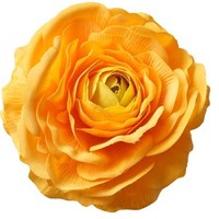 Vente en gros de fleurs artificielles au toucher réel, fleurs de renoncule artificielles à grosse tête, fausses fleurs de pivoine, fleurs artificielles douces et hydratantes