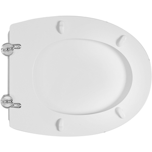 Sedile WC Globo Vaso Amica - Prodotto di Qualità Premium - Product Image 3