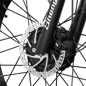 Bicicleta Eléctrica para Adultos en Oferta 2025, Bicicleta Urbana con Canasta para Mujer - Product Image 2