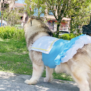 Jupon bouffant Pet Fairy Tale World, pour chats, Teddy, Golden Retrievers, Alaskan Malamutes, Huskies de Sibérie, vêtements printemps-été - Product Image 2