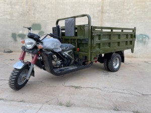 Tricycle cargo puissant à essence 300cc, carrosserie ouverte, 5 roues, avec démarrage électrique/à manivelle, pour charges lourdes et livraison intensives - Product Image 1