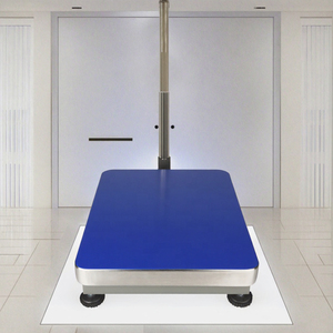 Báscula de Plataforma Digital LCD de Acero Inoxidable Veidt 100KG-800KG con Patas Ajustables, Personalizable OEM, para Uso en Almacén, 1 Año de Garantía - Product Image 3