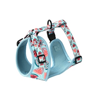 Set tali kekang anjing enam potong kualitas tinggi <span class=keywords><strong>Harness</strong></span> dada bernapas Mewah kerah anjing peliharaan tersedia Kecil Sedang besar XL - Product Image 1