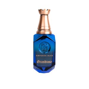 Parfum pour homme GRANDIOSE Oud Spicy Woody 100ml Eau de Parfum, senteur longue tenue, qualité supérieure, pour homme. - Product Image 2