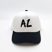 Casquette de baseball bicolore à 5 panneaux Casquette de baseball en coton personnalisée avec logo brodé Chapeau de papa