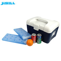 Pack de gel isolé personnalisé de 1000ML plaque froide de congélation de liquide non toxique brique de glace écologique pour le stockage des aliments service de crème glacée