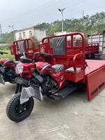 Tricycle de fret à trois roues avec moteur à essence refroidi par air 03BL4 200CC pour transport lourd